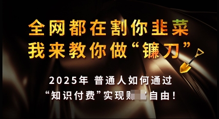 知识付费如何做到月入过W+，2025我来教你做“镰刀”【揭秘】-泱泱学习社