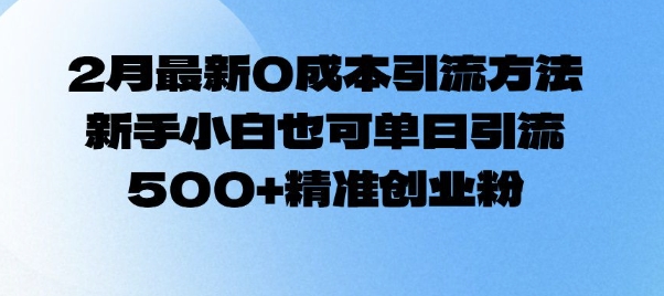 2月最新0成本引流方法，新手小白也可单日引流500+精准创业粉-泱泱学习社