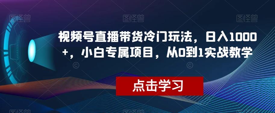 视频号直播带货冷门玩法，日入1000+，小白专属项目，从0到1实战教学【揭秘】-泱泱学习社
