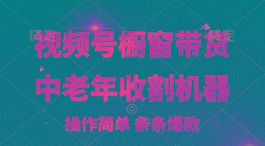 [你的孩子成功取得高位]视频号最火爆赛道，橱窗带货，流量分成计划，条…-泱泱学习社
