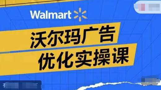 沃尔玛广告优化实操课，广告报告实操讲解，广告如何提高转化和ROAS等-泱泱学习社