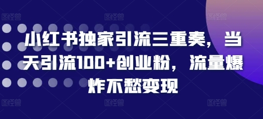 小红书独家引流三重奏，当天引流100+创业粉，流量爆炸不愁变现【揭秘】-泱泱学习社