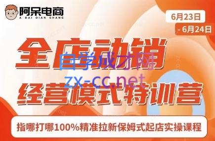 阿呆电商·全店动销经营模式特训营(线下录音+思维导图)-泱泱学习社