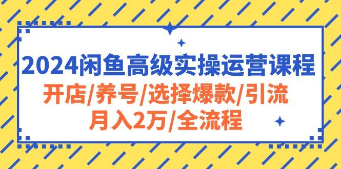 2024闲鱼高级实操运营课程：开店/养号/选择爆款/引流/月入2万/全流程-泱泱学习社