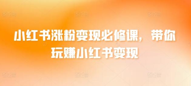 小红书涨粉变现必修课，带你玩赚小红书变现-泱泱学习社