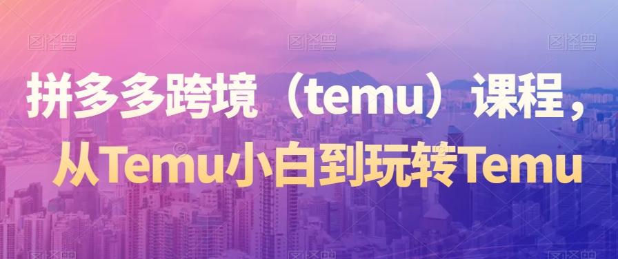拼多多跨境（temu）课程，从Temu小白到玩转Temu-泱泱学习社