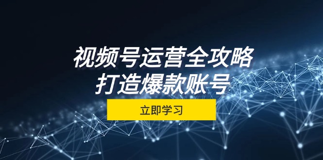 视频号运营全攻略，从定位到成交一站式学习，视频号核心秘诀，打造爆款…-泱泱学习社