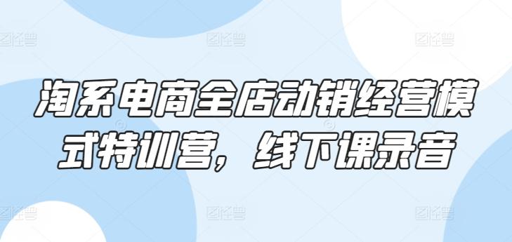 淘系电商全店动销经营模式特训营，线下课录音-泱泱学习社