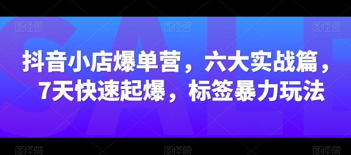 抖音小店爆单营，六大实战篇，7天快速起爆，标签暴力玩法-泱泱学习社