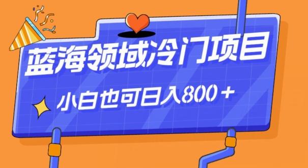 蓝海领域冷门赛道，一单39.9，日入800＋-泱泱学习社