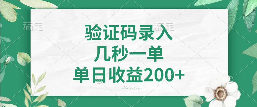 验证码录入，几秒一单，单日收益200+-泱泱学习社