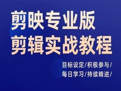 剪映专业版剪辑实战教程，目标设定/积极参与/每日学习/持续精进-泱泱学习社