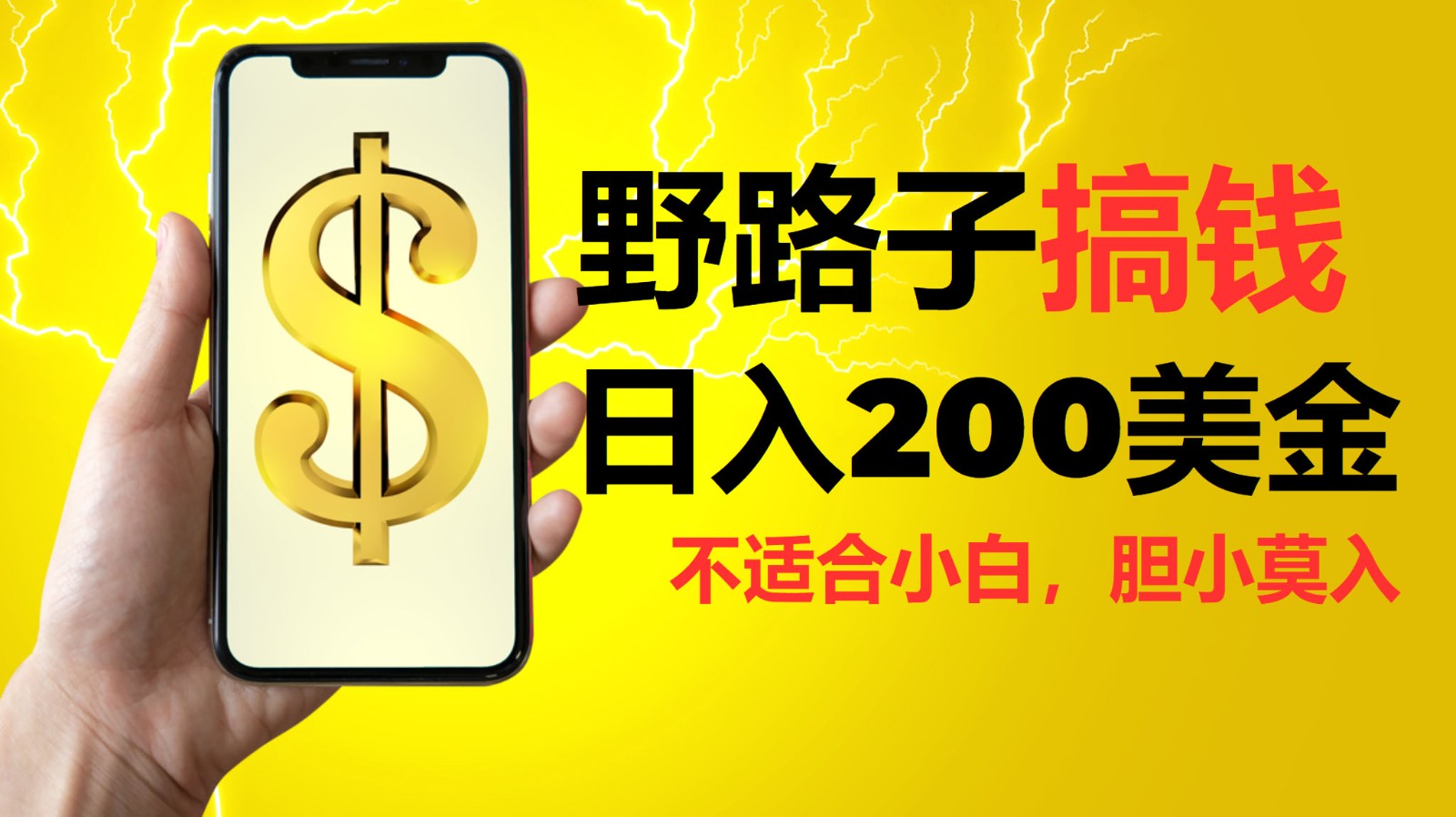 挂机野路子搞钱，日入200美金，路子很野，小白莫入-泱泱学习社