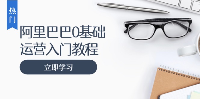 阿里巴巴运营零基础入门教程：涵盖开店、运营、推广，快速成为电商高手-泱泱学习社