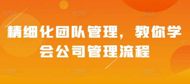 精细化团队管理，教你学会公司管理流程-泱泱学习社