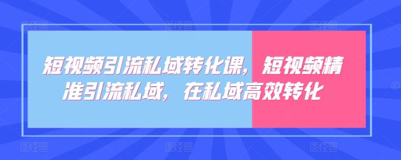短视频引流私域转化课，短视频精准引流私域，在私域高效转化-泱泱学习社