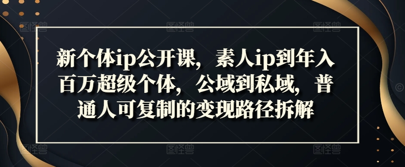 新个体ip公开课，素人ip到年入百万超级个体，公域到私域，普通人可复制的变现路径拆解-泱泱学习社