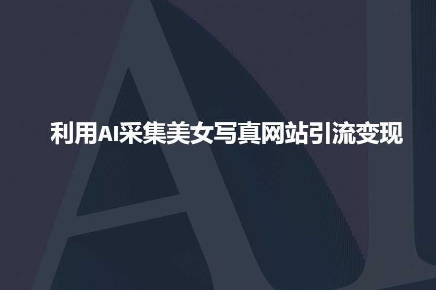 利用AI采集美女写真网站引流变现，引流嘎嘎的-泱泱学习社