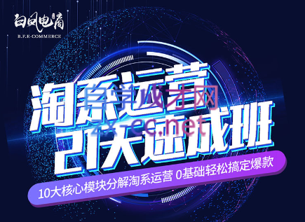淘系运营21天速成班(更新7月)-泱泱学习社