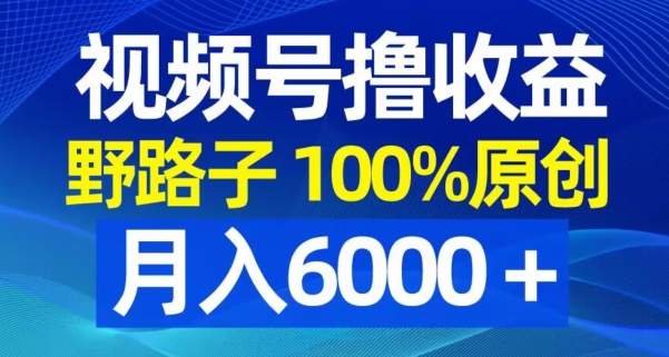 视频号野路子撸收益，100%原创，条条爆款，月入6000＋【揭秘】-泱泱学习社