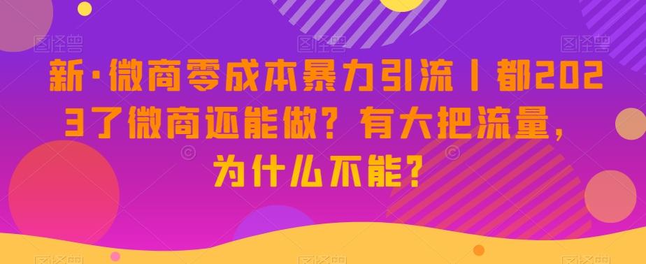 新·微商零成本暴力引流丨都2023了微商还能做？有大把流量，为什么不能？-泱泱学习社