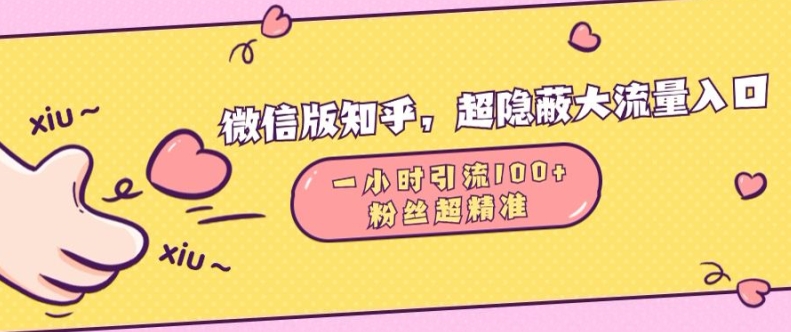 微信版知乎，超隐蔽流量入口1小时引流100人，粉丝质量超高【揭秘】-泱泱学习社