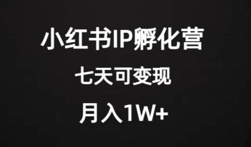 价值2000+的小红书IP孵化营项目，超级大蓝海，七天即可开始变现，稳定月入1W+-泱泱学习社