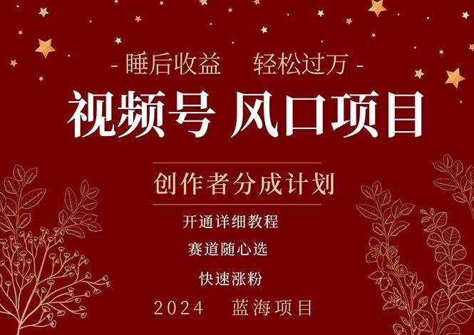 拥有睡眠收益的微信视频号大风口项目，轻松月入过万+，多赛道选择，可…-泱泱学习社