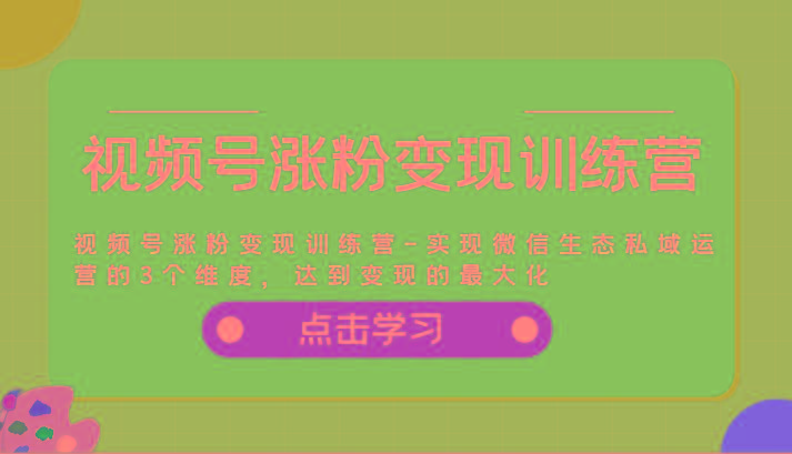 视频号涨粉变现训练营-实现微信生态私域运营的3个维度，达到变现的最大化-泱泱学习社