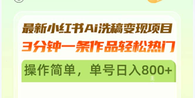最新小红书Ai洗稿变现项目 3分钟一条作品轻松热门 操作简单，单号日入800+-泱泱学习社