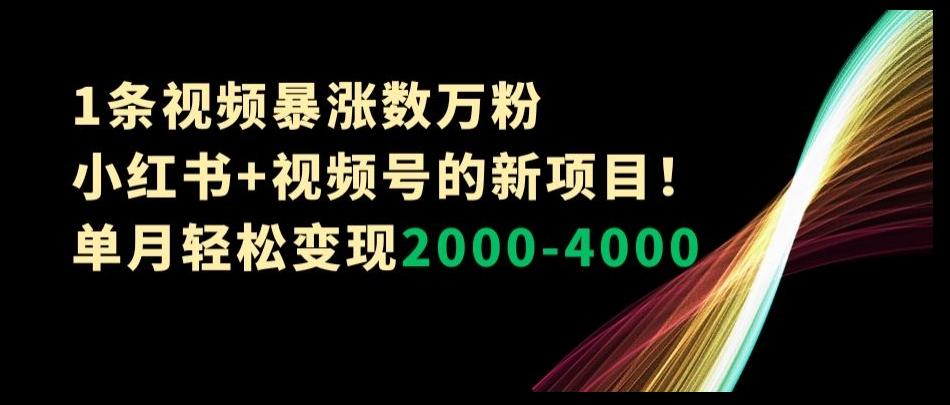 1条视频暴涨数万粉–小红书+视频号的新项目！单月轻松变现2000-4000【揭秘】-泱泱学习社