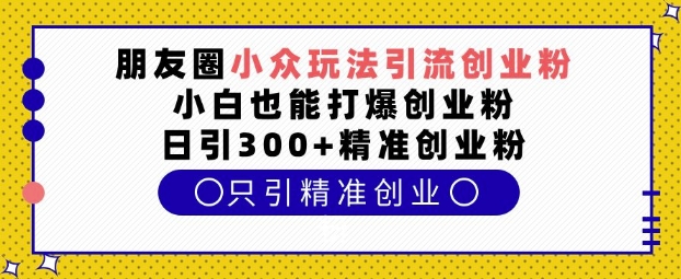 朋友圈小众玩法引流创业粉，小白也能打爆创业粉，日引300+精准创业粉【揭秘】-泱泱学习社