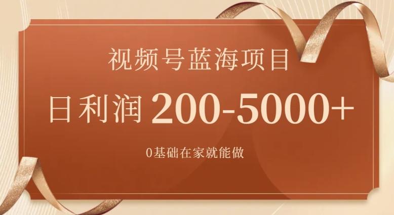 外边收费699视频号项目，最新玩法，简单好操作，一人可做，日四位数-泱泱学习社
