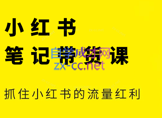 张宾·小红书笔记带货课(更新9月)-泱泱学习社