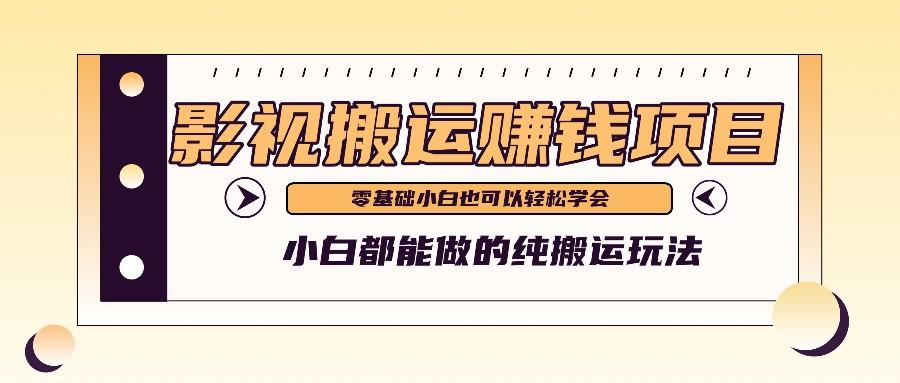 手把手教你操作影视搬运项目，小白都能做零基础也能赚钱-泱泱学习社