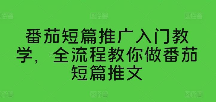 番茄短篇推广入门教学，全流程教你做番茄短篇推文-泱泱学习社