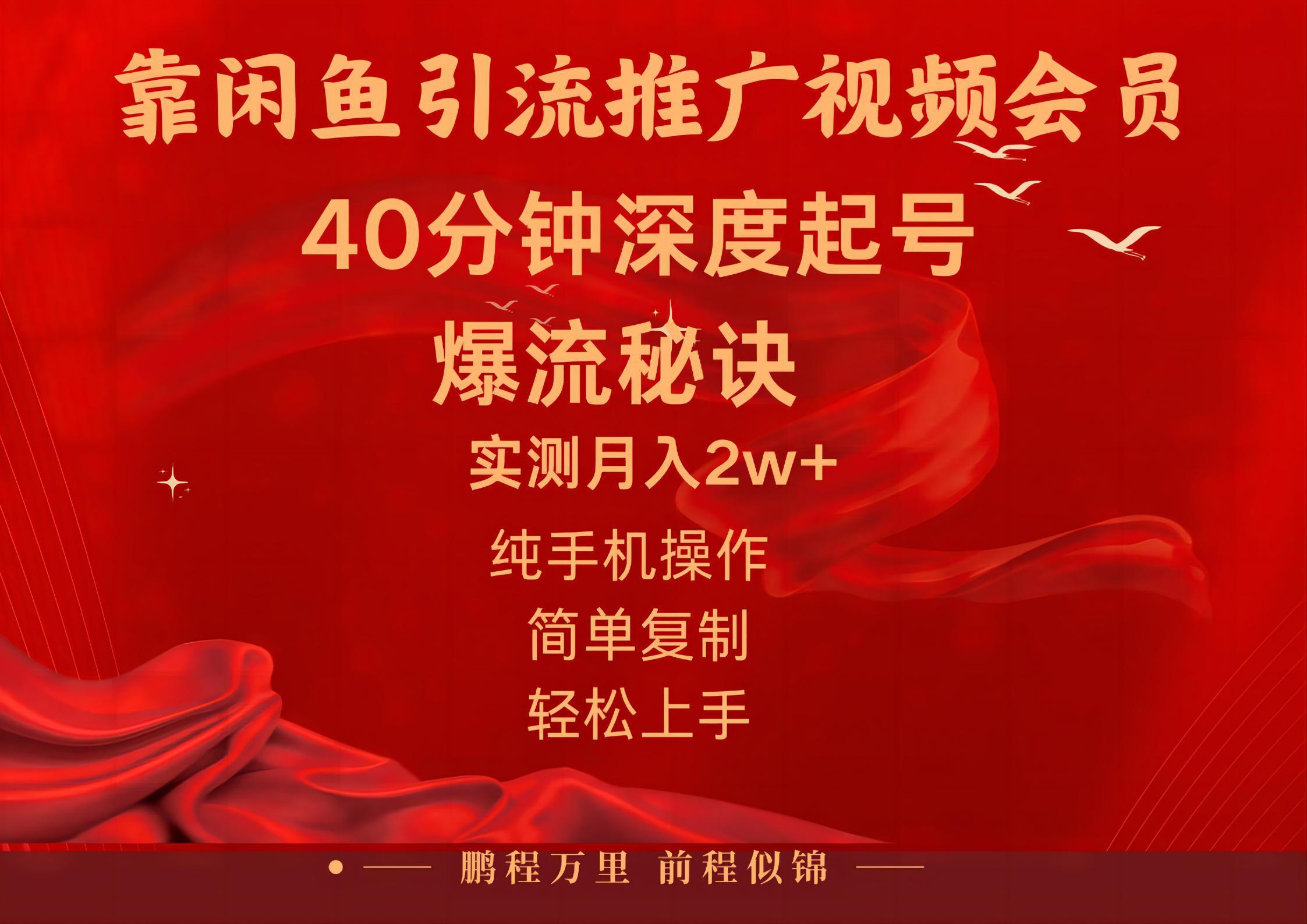 闲鱼暴力引流推广视频会员，能做到日入2W+，操作简单-泱泱学习社