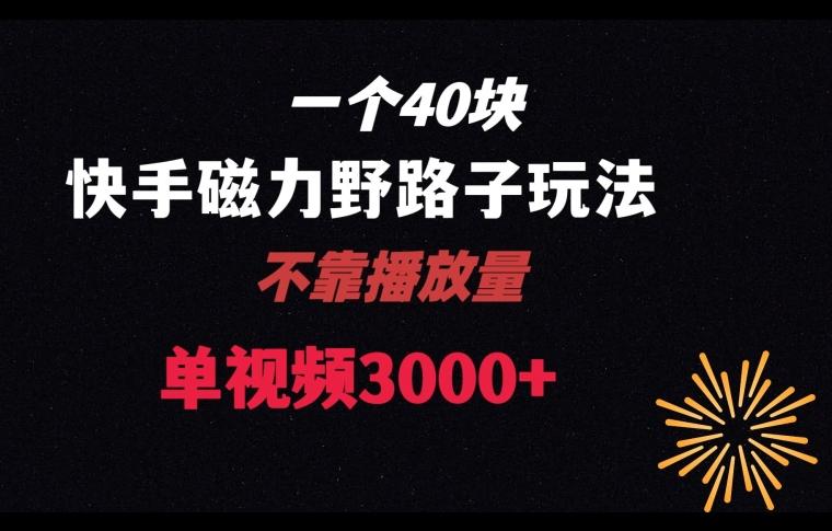 一个40块，快手联合美团磁力新玩法，无视机制野路子玩法，单视频收益4位数【揭秘】-泱泱学习社