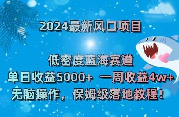 2024最新风口项目，低密度蓝海赛道，单日收益5000+，一周收益4w+！【揭秘】-泱泱学习社