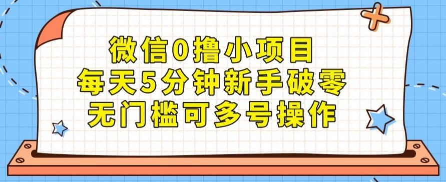 微信0撸小项目，每天5分钟新手破零，无门槛可多号操作-泱泱学习社