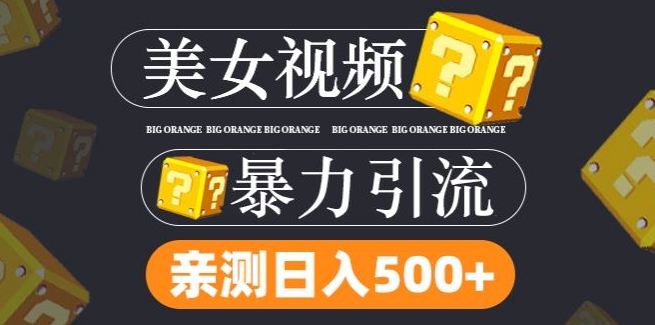 搬运tk美女视频全网分发，日引s粉300+，轻松变现，不限流量不封号【揭秘】-泱泱学习社