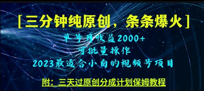 三分钟制作视频号纯原创，条条爆款，轻松月入过万【揭秘】-泱泱学习社