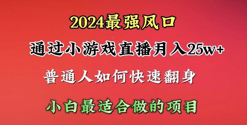 (10020期)2024年最强风口，通过小游戏直播月入25w+单日收益5000+小白最适合做的项目-泱泱学习社
