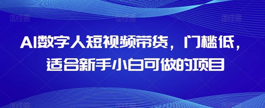 AI数字人短视频带货，门槛低，适合新手小白可做的项目-泱泱学习社