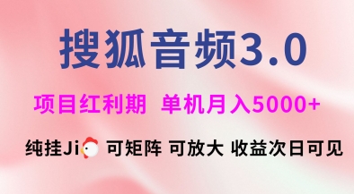 搜狐音频挂ji3.0.可矩阵可放大，独家技术，稳定月入5000+【揭秘】-泱泱学习社