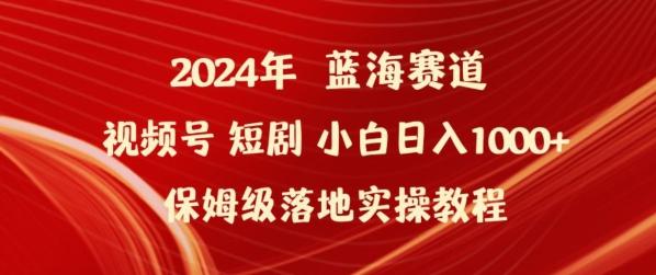2024年视频号短剧新玩法小白日入1000+保姆级落地实操教程【揭秘】-泱泱学习社