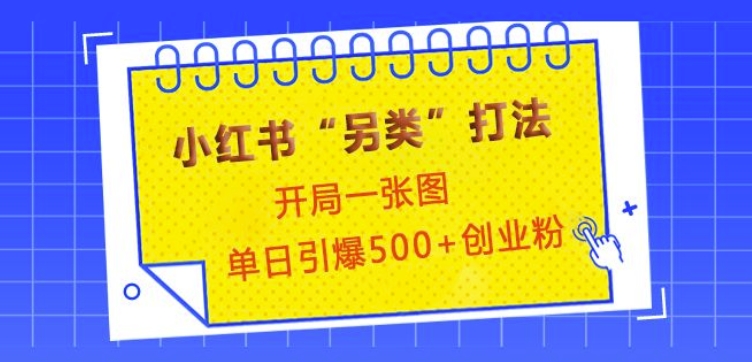 小红书“另类”打法，开局一张图，单日引爆500+精准创业粉【揭秘】-泱泱学习社
