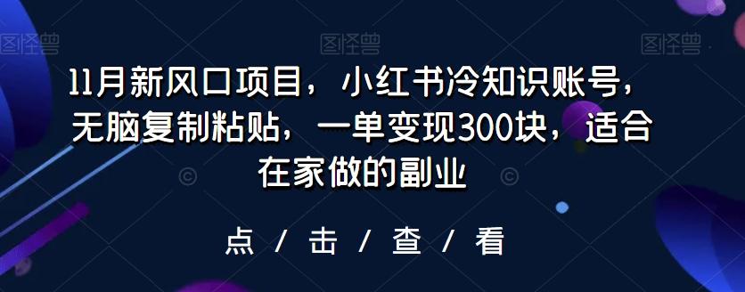 11月新风口项目，小红书冷知识账号，无脑复制粘贴，一单变现300块，适合在家做的副业-泱泱学习社
