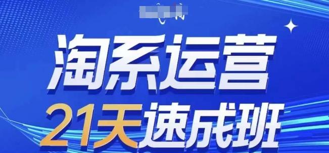 淘系运营21天速成班(更新24年7月)，0基础轻松搞定淘系运营，不做假把式-泱泱学习社