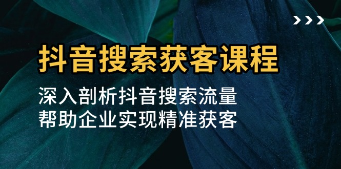 抖音搜索获客课程：深入剖析抖音搜索流量，帮助企业实现精准获客-泱泱学习社